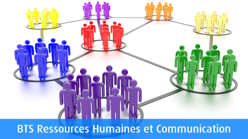 ressources-humaine